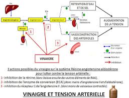 Vinaigre De Cidre Et Tension Arterielle Votre Sante Par La Nature