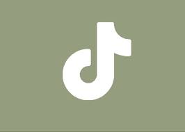 Ios 14 App Icon Sage Green App Icon Iphone Photo App Iphone Wallpaper App Material, ios 14, icons, green, anime, aesthetic, kpop, blackpink, red velvet. ios 14 app icon sage green app icon