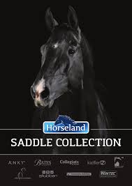 Saddle Collection By Hrcs Issuu