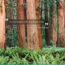 It Is Not Length Of Life But Depth Of Life It Is Not Length Of Life But Depth Of Life Ralph Waldo Emerson Mondaymotivation Recovery Quotes Words Of Wisdom Words