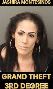 Jashira Montesinos Grand Theft 3rd Degree (>750, <$5000)
