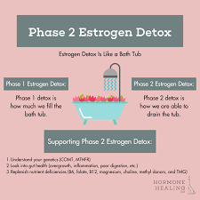 How To Support Estrogen Detox