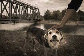 Today i want to show you, friends, how people live on the territory of the chernobyl exclusion zone. Ooaedzw1g0walm