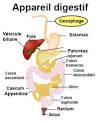 Brlant: reflux gastro-oesophagien?