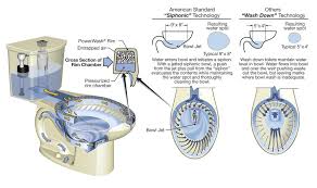 Great cat potty training accessory. American Standard H2option Dual Flush 2 Piece Elongated Toilet At Menards