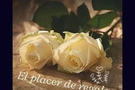 El placer de Regalar - Consulta disponibilidad y precios