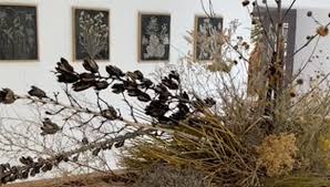 Five-Minute Tours: Kari Englehardt at Wrong Gallery/Do Right Hall, Marfa