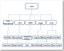 Organizational Structure