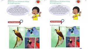 Buku kelas 4 sd tema 1 subtema indahnya kebersamaan pembelajaran 2 ini juga mempelajari materi sudut. Kunci Jawaban Tema 3 Kelas 4 Halaman 48 49 50 52 Subtema 2 Pembelajaran 1 Keberagaman Makhluk Hidup Tribun Pontianak