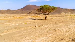 We did not find results for: The 10 Hottest Places On Earth From Death Valley To Tunisia The Independent