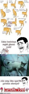 Kepada para sahabatnya, nabi berpesan untuk menyayangi kucing peliharaan, layaknya menyayangi keluarga sendiri. Bahasa Ekor Kucing Aja Pilih Kasih Yang Ekornya Pendek Kagak Dikasih Tau 1cak For Fun Only