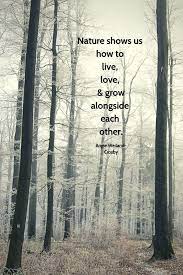 Inspirational Nature Quote With Trees And Frost In The Forest Nature Shows Us Rezepte Blog Mother Nature Quotes Nature Quotes Nature Quotes Adventure