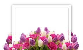Kartu Pos Voucher Ingin - Foto gratis di Pixabay