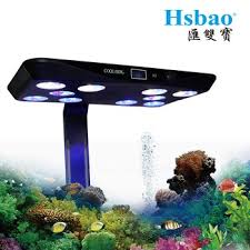 Dc 24v Marine Aquarium Reef Lighting Coral Led Light Buy Reef Lighting Coral Led Aquarium Reef Lighting Coral Led Light Product On Alibaba Com