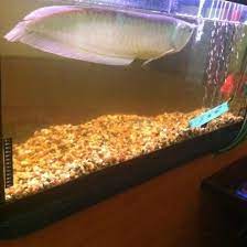 We did not find results for: Family Garden Chinese Restaurant Carteret Nj