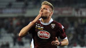 Image result for Memecylon torrei