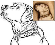 Free download diy wood burning pizza oven build a backyard pizza oven pecara od sample. Free Pyrography Patterns To Print Woodworking Projects Plans Wood Burning Stencils Wood Burning Patterns Stencil Wood Carving Patterns