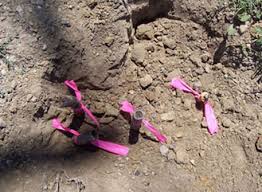 We did not find results for: Property Property Markers Survey Pins