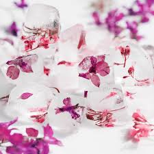 You can also use violet syrup in other drinks and cocktails. Free Photo Pink And Violet Flowers In Ice Cubes