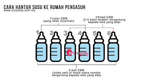 Cadangan kami yang pertama adalah susu puremil asli. Cara Hantar Susu Ke Rumah Pengasuh Cozy Lady