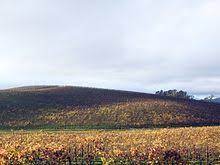Check spelling or type a new query. Bliss Image Wikipedia