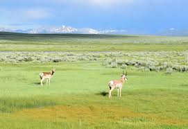 The meadows at the refuge seem unlikely for colorado's dry climate, which is why the illinois river is responsible for irrigating the marsh lowlands. Beloved Rural Character Of Colorado Will Be Protected Under 30 By 30 Plan Colorado Newsline