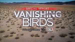 KVVU's 4-Minute Report On Vanishing Birds Soars