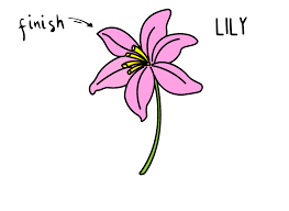 Check spelling or type a new query. How To Draw A Beautiful Pink Lily Flower Easy For Little Kids Rainbow Printables