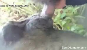 Dirty outdoor zoophilia porn with a man fucking a cow