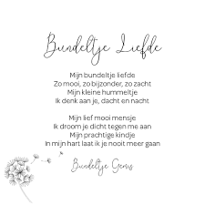 Het zit hem in de kleine speciale dingen. Gedichtjes Sterrenkind Eren Troostshop Voor Bij Het Verlies Van Een Kind Dierbare Of Kinderwens