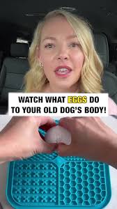 🥚 Raw vs 🍳 cooked eggs—what’s better for your dog? , Award-winning  actress and dog lover Katherine Heigl has something to say about what your  dog really needs in their diet. , The truth might just ...