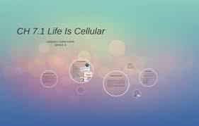 The discovery of the cell seeing is believing, an old saying goes. Ch 7 1 Life Is Cellular By Ladyann Holderzwink