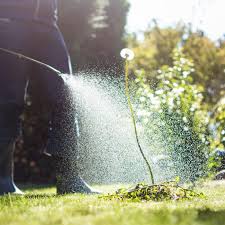 The lawn experts at diy network show give you tips and tricks for identifying lawn pests and learn about common lawn pests and the symptoms they cause, along with some tips on treating the problem. Lawnpro Do It Yourself Pest Control And Lawn Care Products