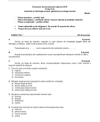 Diversitatea în lumea vie şi particularităţile distinctive ale lumii vii. Ce Subiecte S Au Dat La Anatomie È™i FizicÄƒ La Bacalaureat 2019 Barem È™i Rezolvare Pe Edu Ro Update