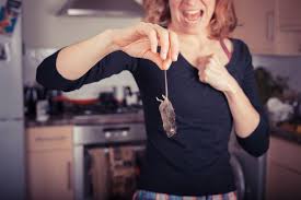 When your landlord is responsible. Social Housing Landlord Responsible For Pest Control