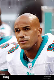 Jason taylor dolphins hi-res stock photography and images