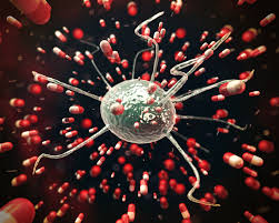 Maybe you would like to learn more about one of these? Antibiotics In Cell Culture Friend Or Enemy Promocell