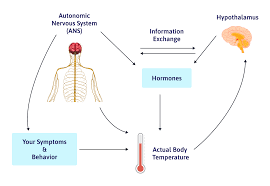 Feeling Cold Hot Or Fevered After A Head Injury Cognitive Fx