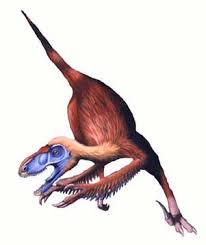 Here are some funny dinosaurs names you might like. Strangest Dinosaur Names Neatorama