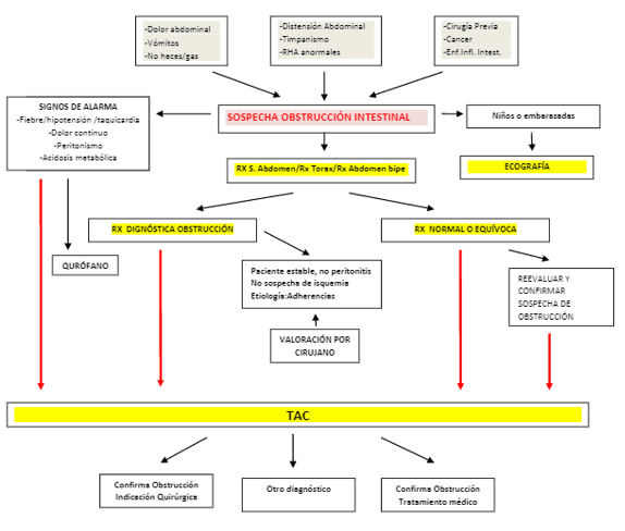 Protocolo De Triaje E Imagenología En La Obstrucción Intestinal, Generada Por Ia