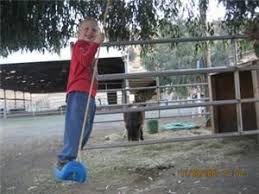 We did not find results for: Tickle Me Pony Parties Travelling Petting Zoo Brentwood Ca Entertainer