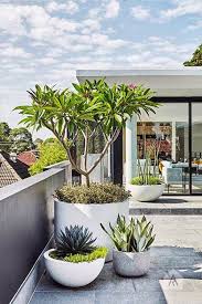 Maybe you would like to learn more about one of these? Brilliant Balcony Ideas Pinterest Only On This Page Tropical Garden Plants Modern Planting Modern Garden