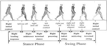 Frontiers | Recent Trends and Practices Toward Assessment and  Rehabilitation of Neurodegenerative Disorders: Insights From Human Gait