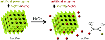 Biopron proenzymes е комбинация от 9 пробиотични щама. Artificial Cerium Based Proenzymes Confined In Lyotropic Liquid Crystals Synthetic Strategy And On Demand Activation Journal Of Materials Chemistry B Rsc Publishing Doi 10 1039 C8tb00479j