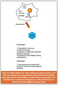 Image result for Gold 1998 AAV