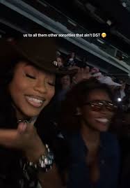 Delta Sigma Theta She Ain't No Diva