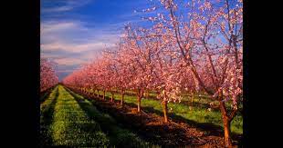 Check spelling or type a new query. Enterprise Car Rentals In Yuba City From 76 Day Kayak