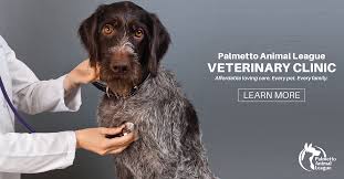 We are open late and on weekends, and conveniently located. Pal Offers Affordable Veterinary Care That Supports Rescue Palmetto Animal League