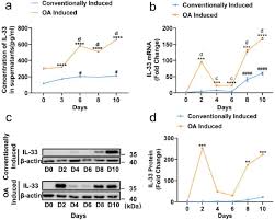 IL-33 regulates adipogenesis via Wnt/β-catenin/PPAR-γ signaling pathway in  preadipocytes