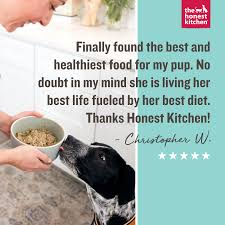 A majority of the foods used in their. The Honest Kitchen Fruit Veggie Grain Free Dehydrated Dog Base Mix 7 Lb Box Chewy Com